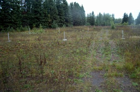 Hiawatha Drive-In Theatre - Poles In The Field (newer photo)